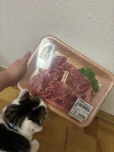らん