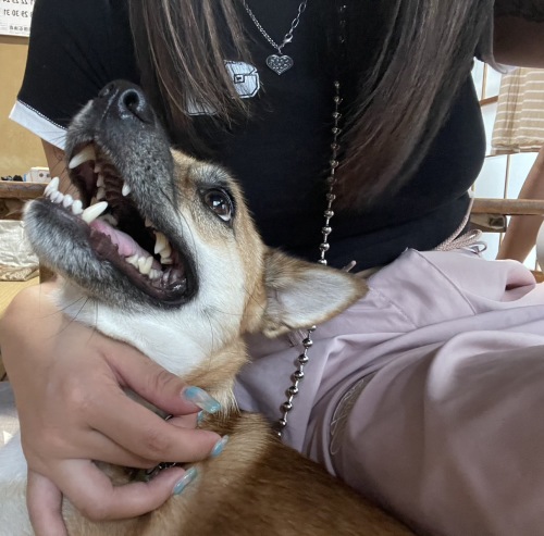 ゆうき
